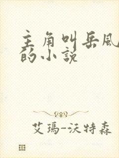 主角叫岳风柳萱的小说