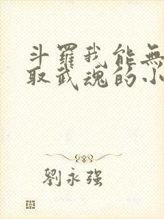 斗罗我能无限抽取武魂的小说