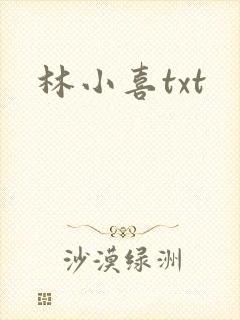 林小喜txt封面
