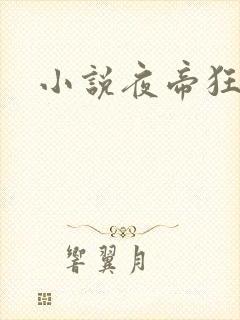 小说夜帝狂妃