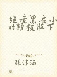 绝境黑夜小说txt精校版下载