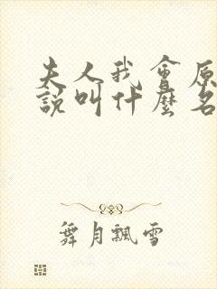 夫人我会原著小说叫什么名字来着封面