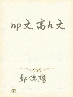 np文高h文封面