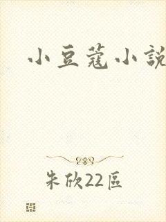 小豆蔻小说