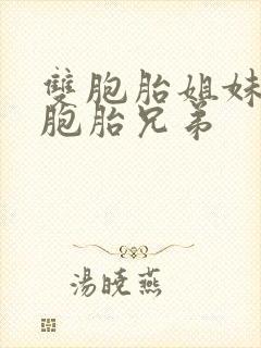 双胞胎姐妹和双胞胎兄弟