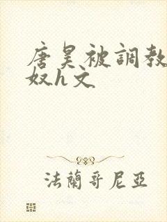 唐昊被调教成肉奴h文