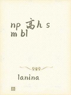 np 高h sm bl