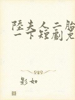 陆夫人二胎了解一下短剧免费观看全集