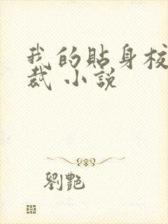 我的贴身校花总裁 小说