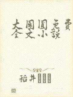 大团圆免费阅读全文小说封面