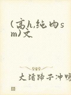 (高h,纯肉sm)文