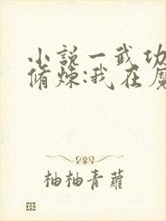 小说一武功自动修炼:我在魔教修成佛皇