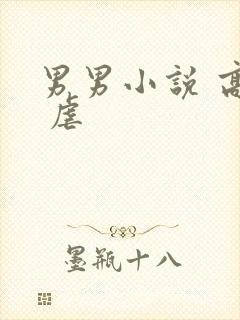 男男小说 高h 虐