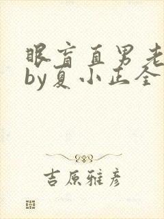 眼盲直男老实人by夏小正全文免费阅读
