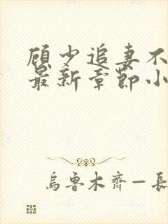 顾少追妻不要脸最新章节小说免费阅读封面