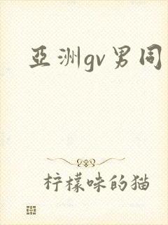 亚洲gv男同