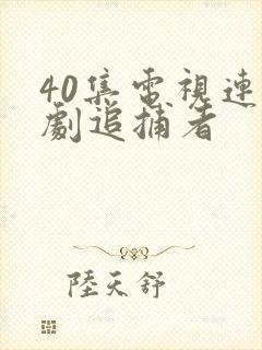 40集电视连续剧追捕者
