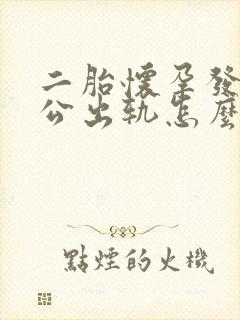 二胎怀孕发现老公出轨怎么办