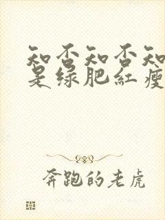 知否知否知否应是绿肥红瘦小说未删减版