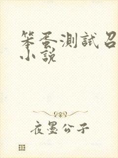 笨蛋测试召唤兽小说