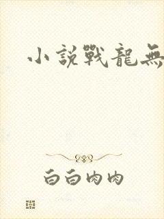小说战龙无双