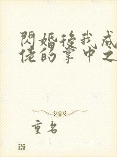 闪婚后我成为大佬的掌中之物