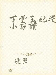 下堂王妃逆袭记小说读