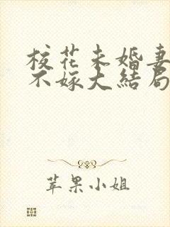 校花未婚妻非我不嫁大结局封面