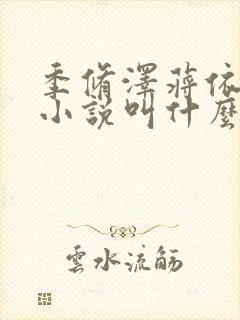 季修泽蒋依依的小说叫什么