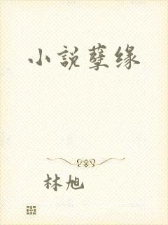 小说孽缘封面