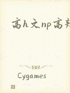 高h文np高辣