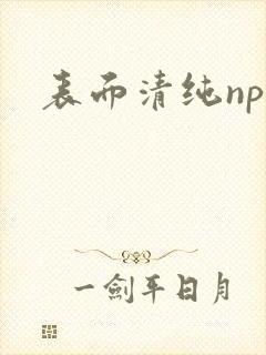 表面清纯np