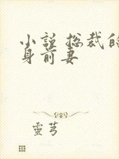 小说 总裁的替身前妻封面