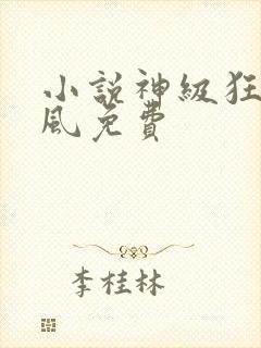 小说神级狂婿岳风免费
