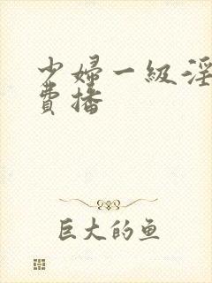 少妇一级淫片免费播