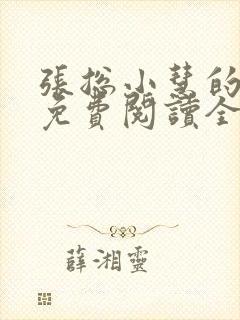 张总小慧的小说免费阅读全文封面