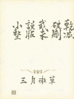小说武破乾坤完整版未删减小说封面