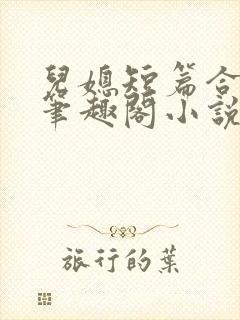 儿媳短篇合集_笔趣阁小说陈秀兰封面