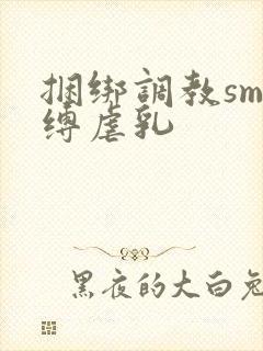 捆绑调教sm束缚虐乳