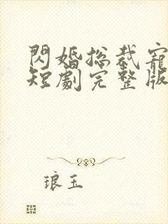 闪婚总裁宠上天短剧完整版免费看