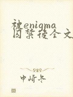 被enigma囚禁后全文免费阅读封面
