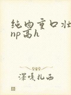 纯肉重口壮汉受np高h