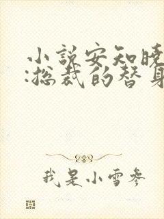 小说安知晓作品:总裁的替身前妻完整版