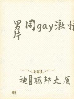 男同gay激情片封面