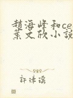 赵海峰和ceo叶文欣小说