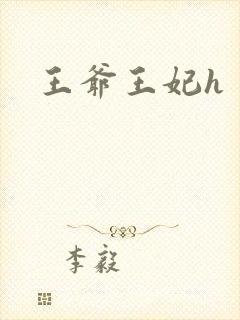 王爷王妃h封面