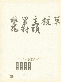 双男主校草校霸死对头