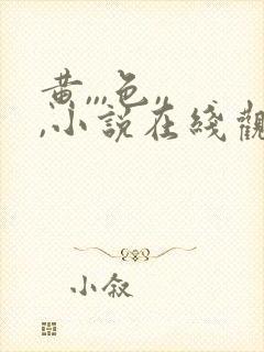 黄,,,色,,,小说在线观看