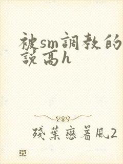 被sm调教的小说高h封面