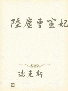 陆尘曹宣妃